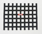 RaceQuip Black Ribbon Window Net
