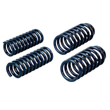 Load image into Gallery viewer, Hotchkis 05-07 Dodge Charger Sport Coil Springs - DTX Performance