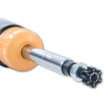 Load image into Gallery viewer, User 5