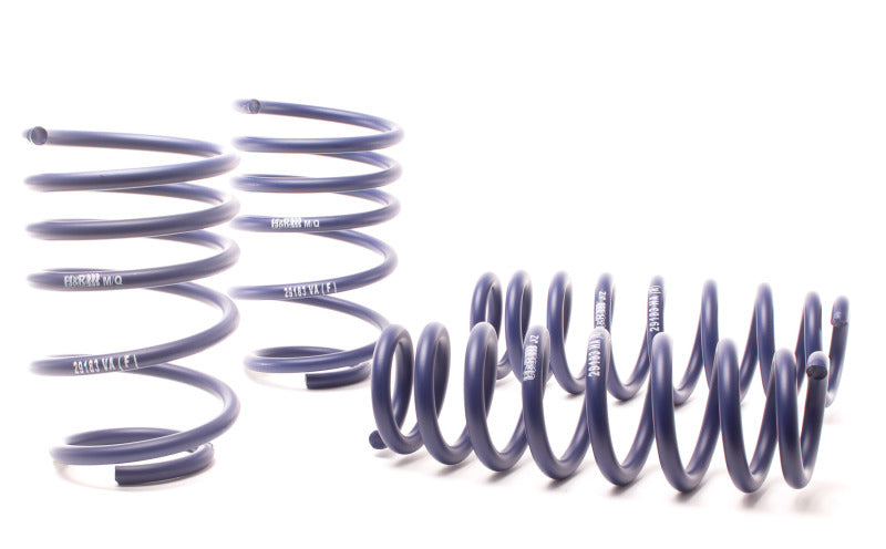 H&R 07-11 BMW 328i Sedan/335i Sedan E90 Race Spring - DTX Performance