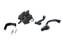 Load image into Gallery viewer, Photo - Unmounted