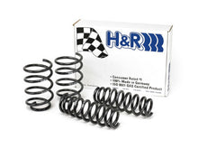 Load image into Gallery viewer, H&amp;R 07-12 BMW 328Xi Sedan/335Xi Sedan E90 Sport Spring - DTX Performance