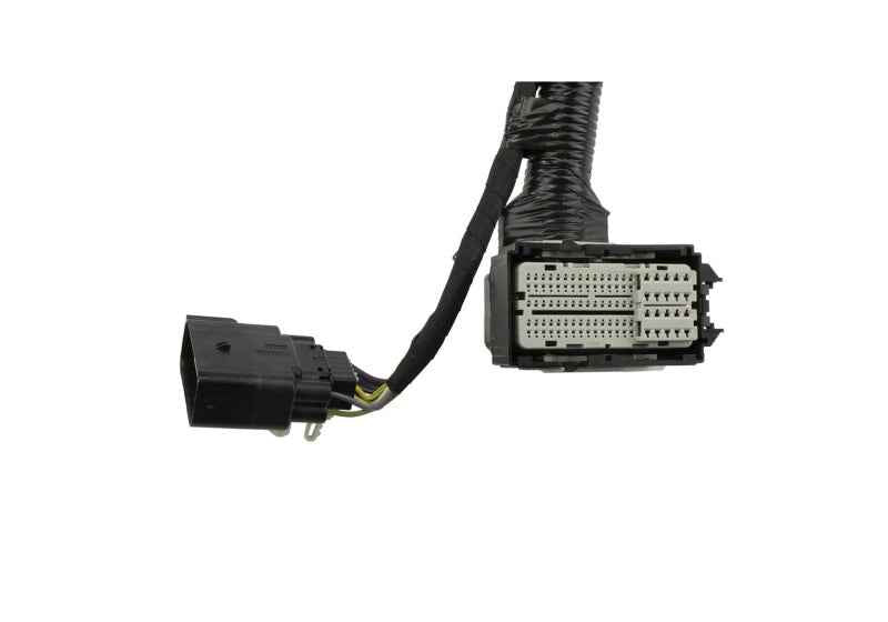 Ford Racing 5.0L Coyote Engine Harness for Automatic Transmission