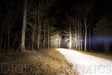 Load image into Gallery viewer, User 5