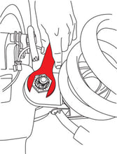 Load image into Gallery viewer, Photo - Unmounted