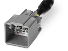 Load image into Gallery viewer, Photo - Close Up