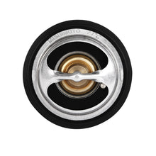 Load image into Gallery viewer, User 5