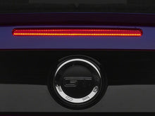Load image into Gallery viewer, User 1
