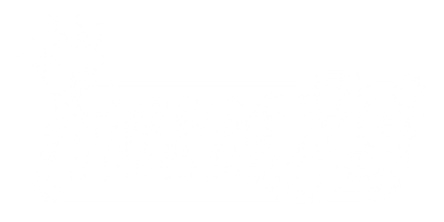 Turbo XS logo for performance car parts