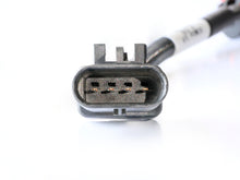 Load image into Gallery viewer, Photo - Unmounted