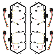 Load image into Gallery viewer, Photo - Primary