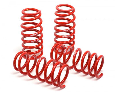 H&R 99-04 Ford Mustang Cobra V8 Race Spring for performance car parts at DTX Performance, veteran owned shop.
