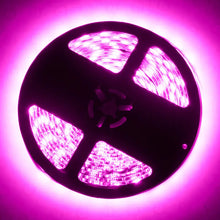 Load image into Gallery viewer, Oracle Interior Flex LED 12in Strip - Pink - DTX Performance