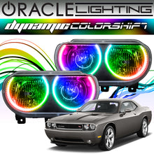 Load image into Gallery viewer, Oracle Dodge Challenger 08-14 Halo Kit - Dynamic - Dynamic - DTX Performance