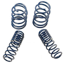 Load image into Gallery viewer, Ford Racing 2007-2014 Mustang Shelby GT500 Springs - DTX Performance