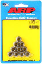 Load image into Gallery viewer, ARP 5/16-24 SS 12pt Nut Kit - DTX Performance