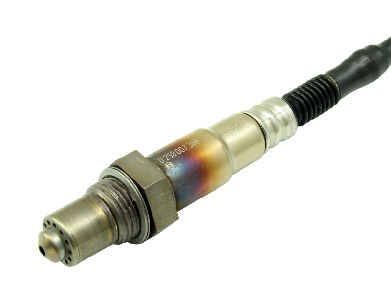 AEM Bosch UEGO Replacement Sensor - DTX Performance