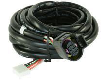 Load image into Gallery viewer, AEM Replacement Sensor Harness for Digital Wideband Gauge (30-4110) - DTX Performance