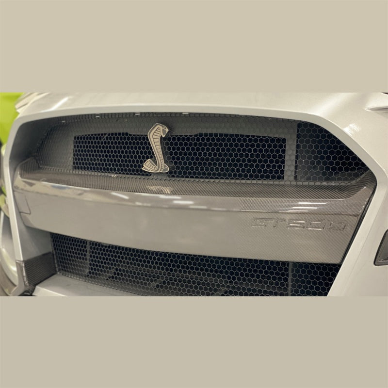 Ford Racing 20-21 Mustang GT500 Carbon Fiber Bumper Insert - DTX Performance