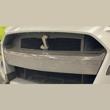 Load image into Gallery viewer, Ford Racing 20-21 Mustang GT500 Carbon Fiber Bumper Insert - DTX Performance