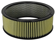 Load image into Gallery viewer, aFe MagnumFLOW Air Filters Round Racing PG7 A/F RR PG7 14OD x 12ID x 5H IN with E/M - DTX Performance