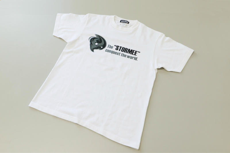 HKS Stormee White T-Shirt 2021 - Small - DTX Performance